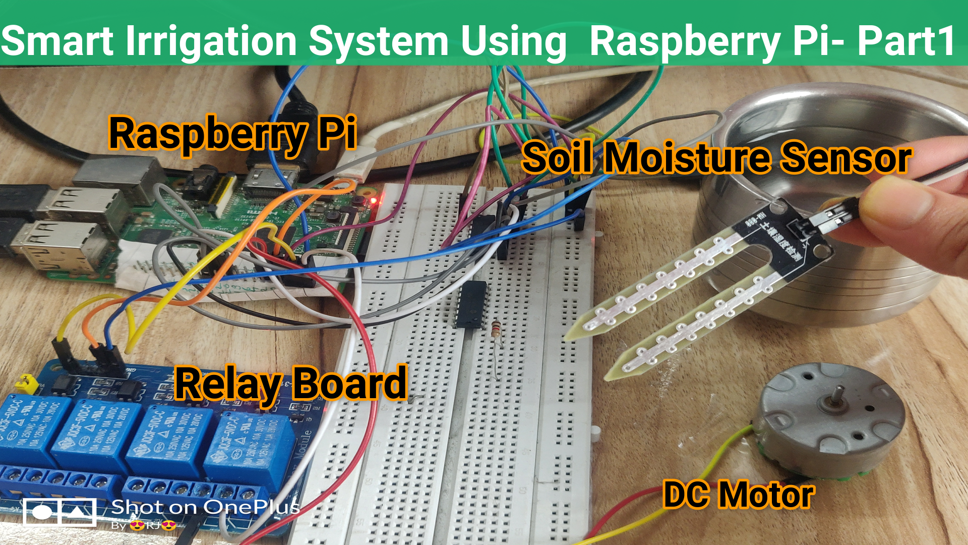 Smart Irrigation System